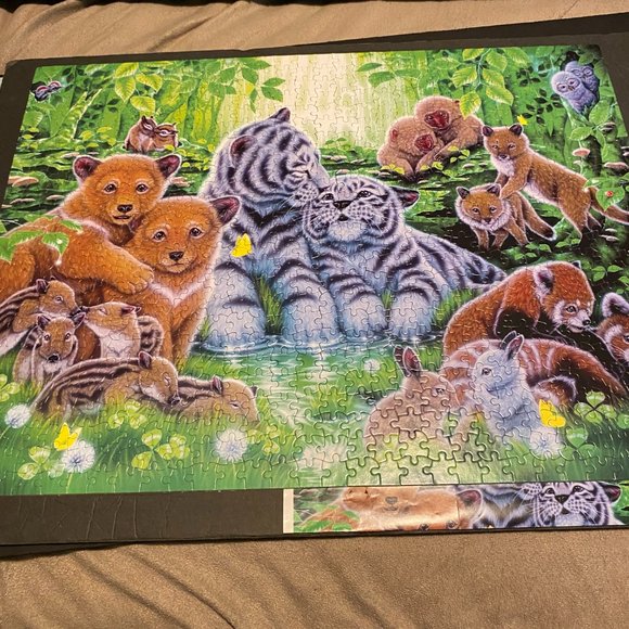 puzzles - Picture 6 of 9